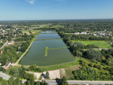 Działka Sprzedaż Kazimierów Różana