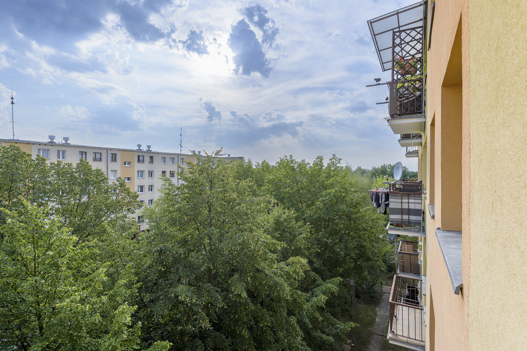Mieszkanie Sprzedaż Legionowo Zegrzyńska